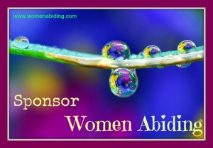 sponsor-womenabiding-blog