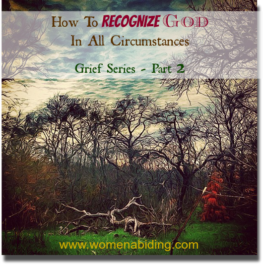 how-to-recognize-god-in-all-circumstances-small