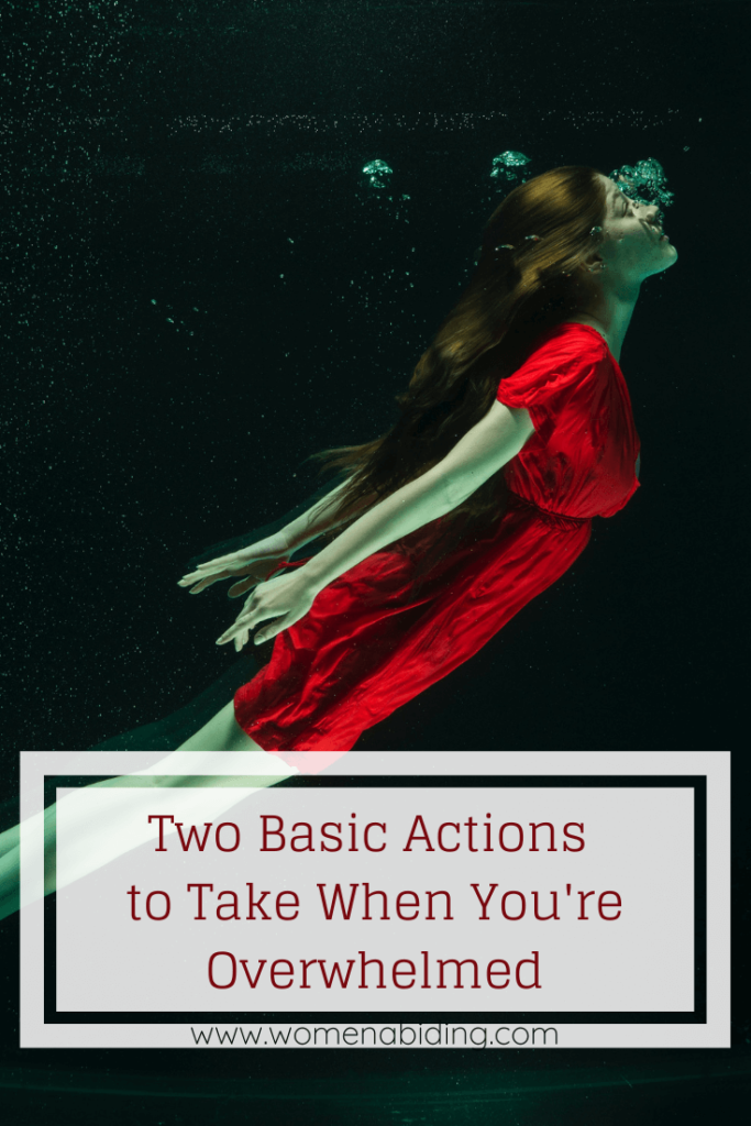 two-basic-actions-to-take-when-overwhelmed