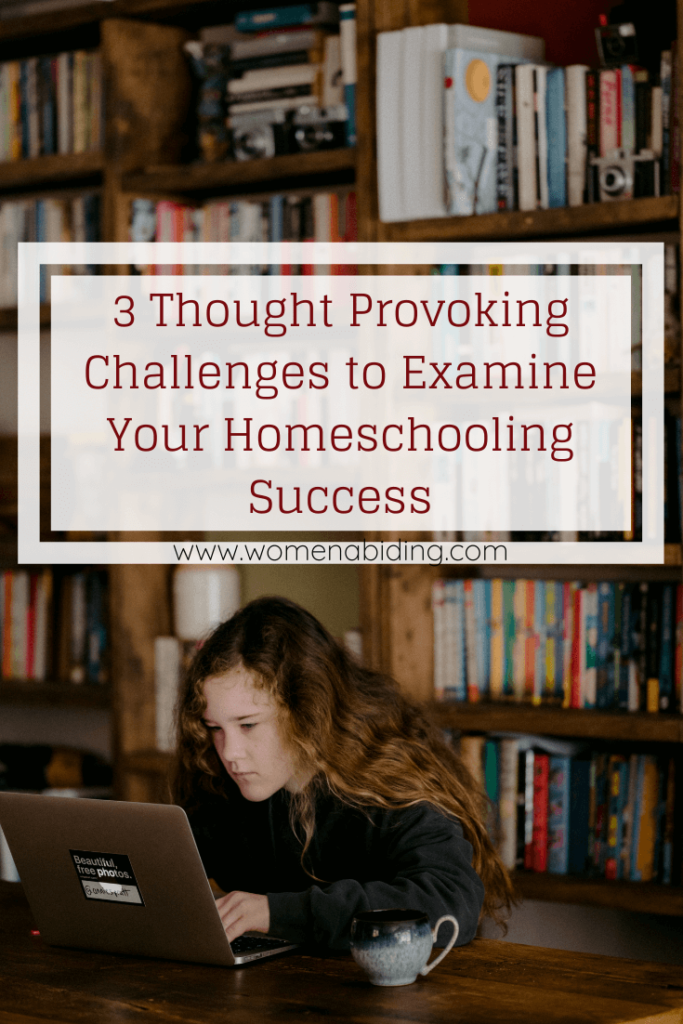 3-thought-provoking-challenges-to-examine-your-homeschooling-success