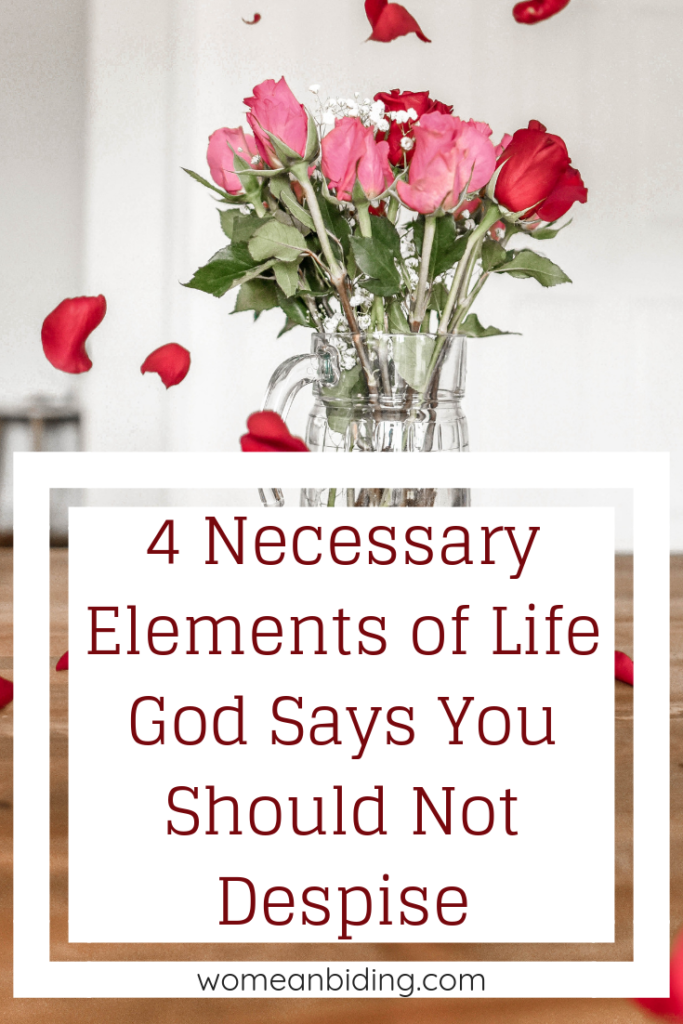 4-necessary-elements-life-god-says-do-not-despise-womenabiding